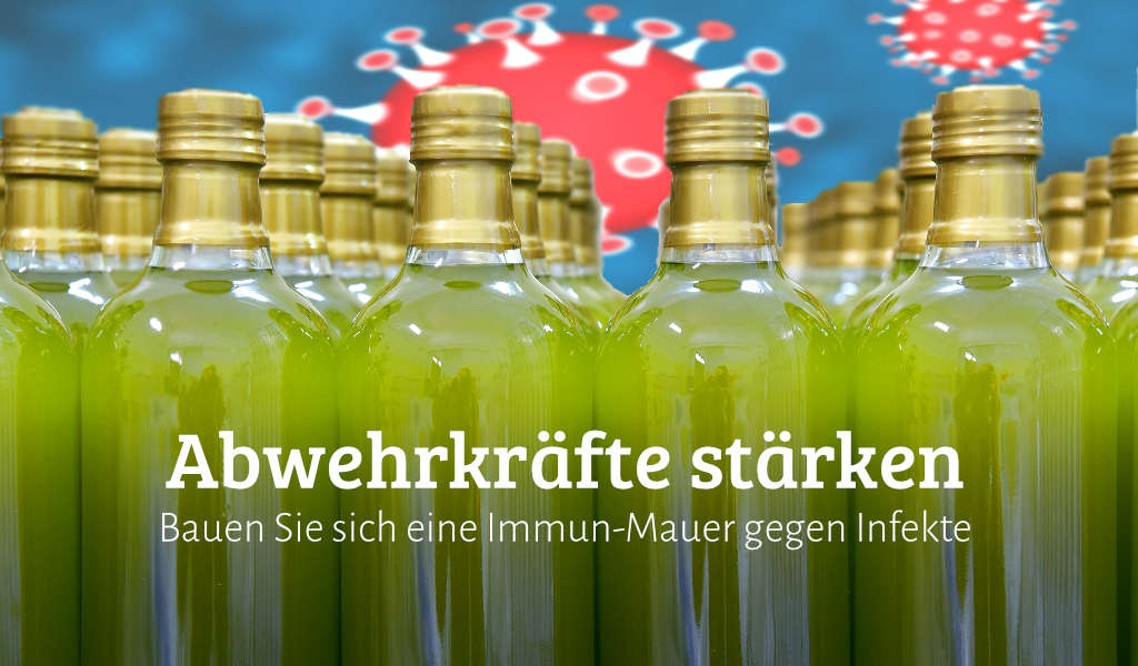 Olivenöl MACCHIA VERDE BIO